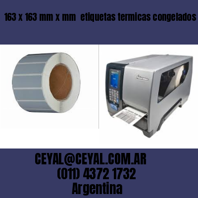 163 x 163 mm x mm  etiquetas termicas congelados