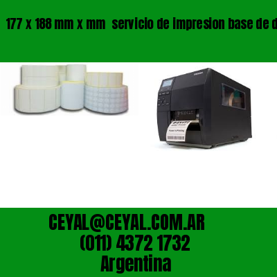 177 x 188 mm x mm  servicio de impresion base de datos