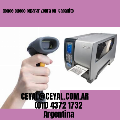 donde puedo reparar Zebra en  Caballito