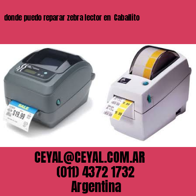 donde puedo reparar zebra lector en  Caballito