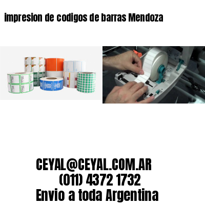 impresion de codigos de barras Mendoza