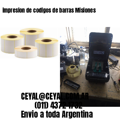 impresion de codigos de barras Misiones
