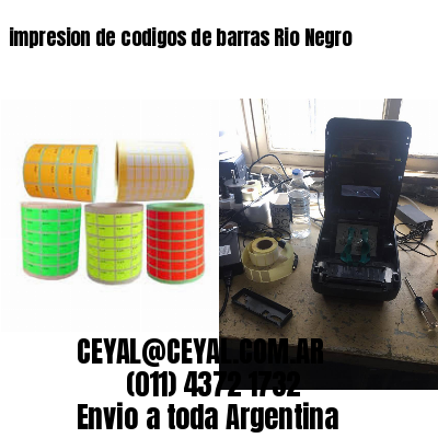 impresion de codigos de barras Rio Negro
