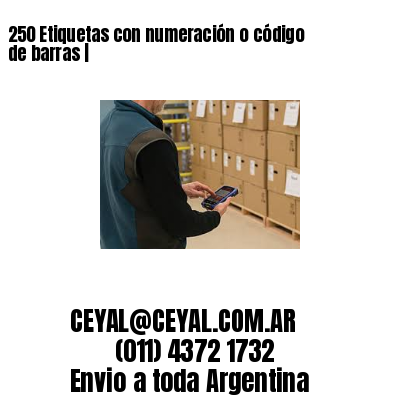 250 Etiquetas con numeración o código de barras |