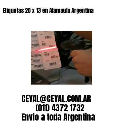 Etiquetas 20 x 13 en Alamaula Argentina