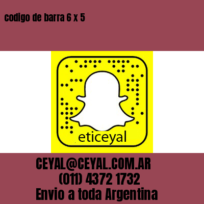 codigo de barra 6 x 5