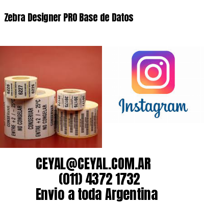 Zebra Designer PRO Base de Datos
