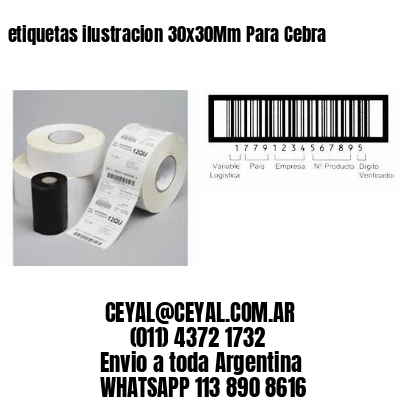 etiquetas ilustracion 30x30Mm Para Cebra