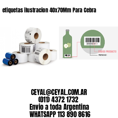 etiquetas ilustracion 40x70Mm Para Cebra