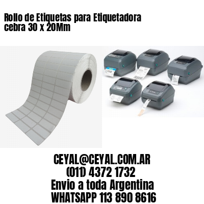 Rollo de Etiquetas para Etiquetadora cebra 30 x 20Mm
