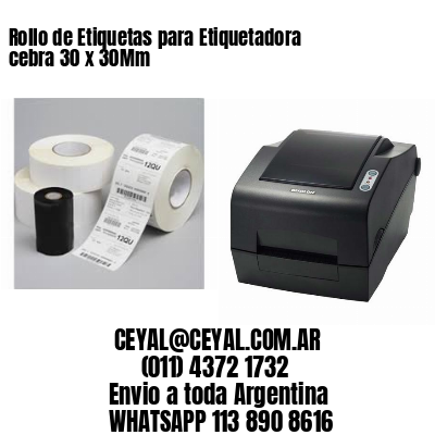 Rollo de Etiquetas para Etiquetadora cebra 30 x 30Mm
