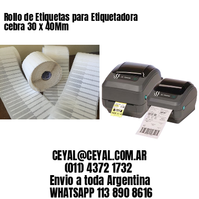 Rollo de Etiquetas para Etiquetadora cebra 30 x 40Mm