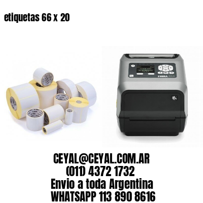 etiquetas 66 x 20