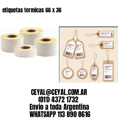 etiquetas termicas 66 x 36
