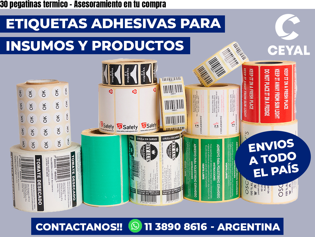 30 pegatinas termico - Asesoramiento en tu compra