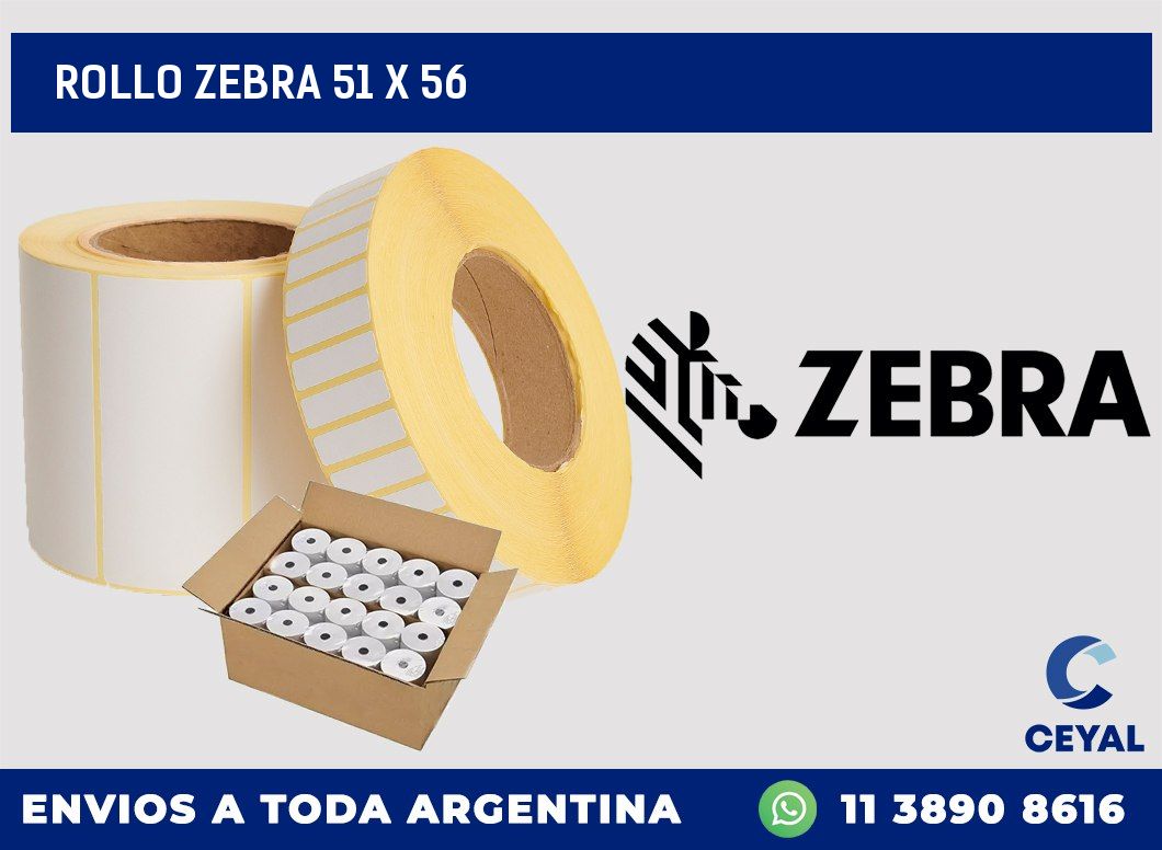 rollo zebra 51 x 56