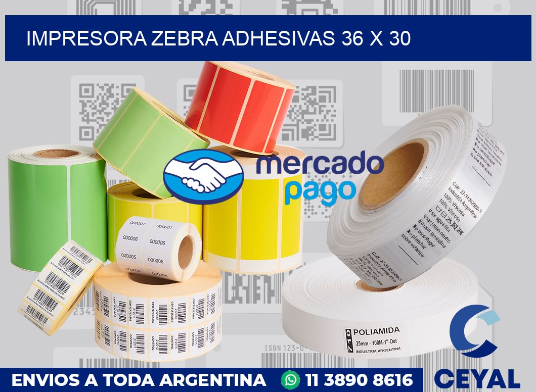 Impresora Zebra adhesivas 36 x 30