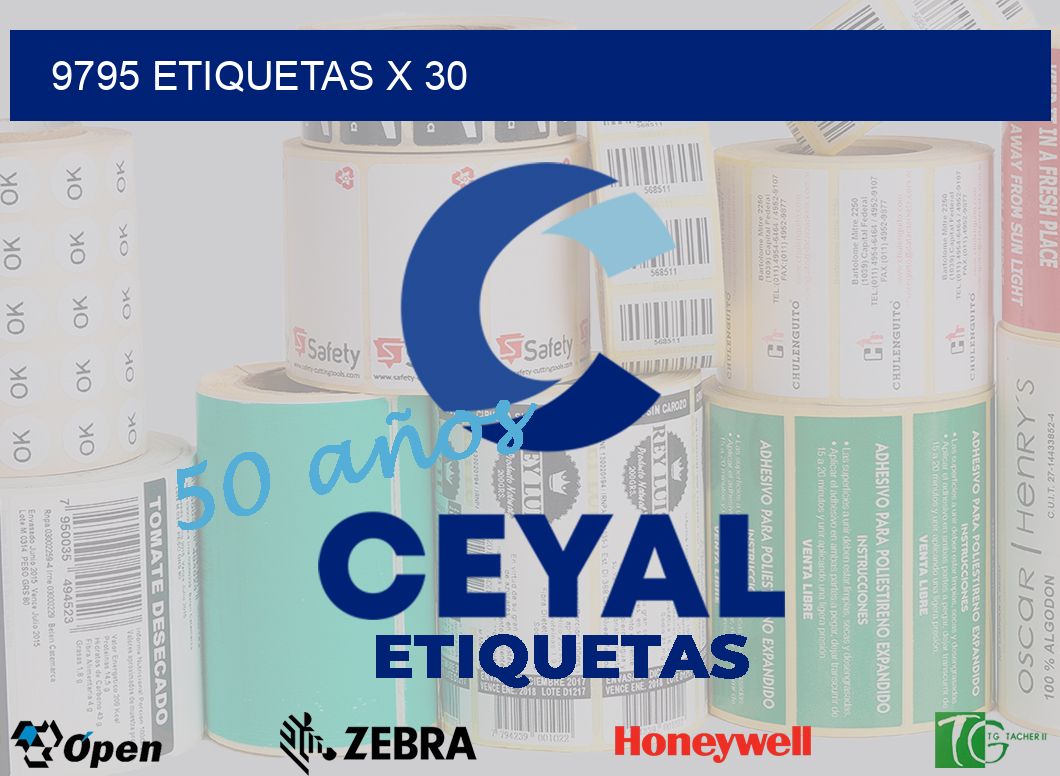 9795 Etiquetas x 30