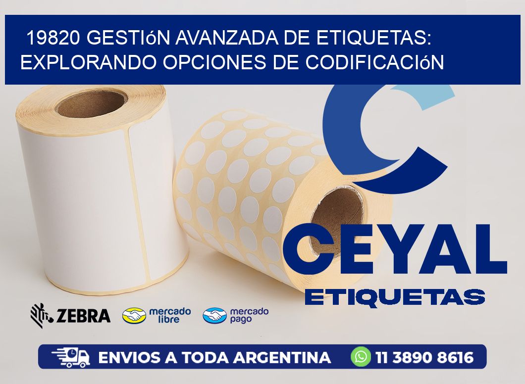 19820 Gestión Avanzada de Etiquetas: Explorando Opciones de Codificación