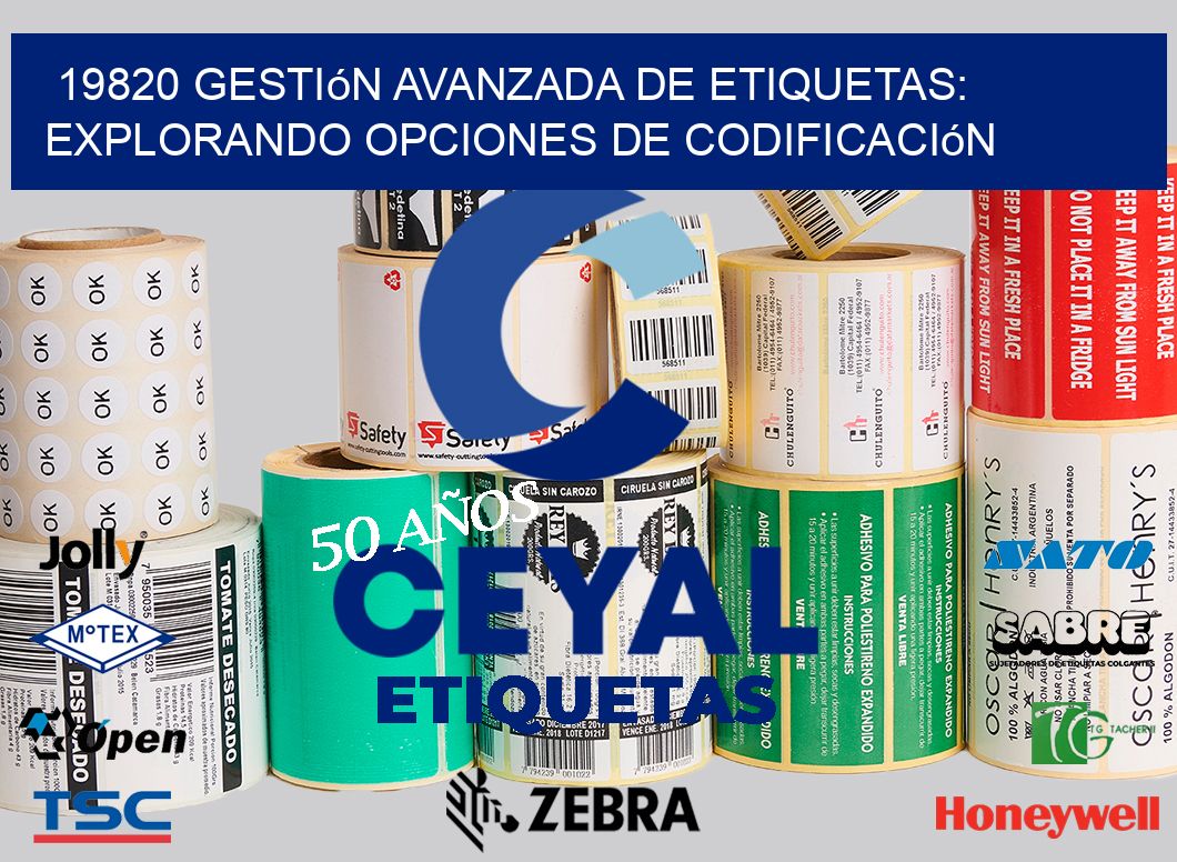 19820 Gestión Avanzada de Etiquetas: Explorando Opciones de Codificación