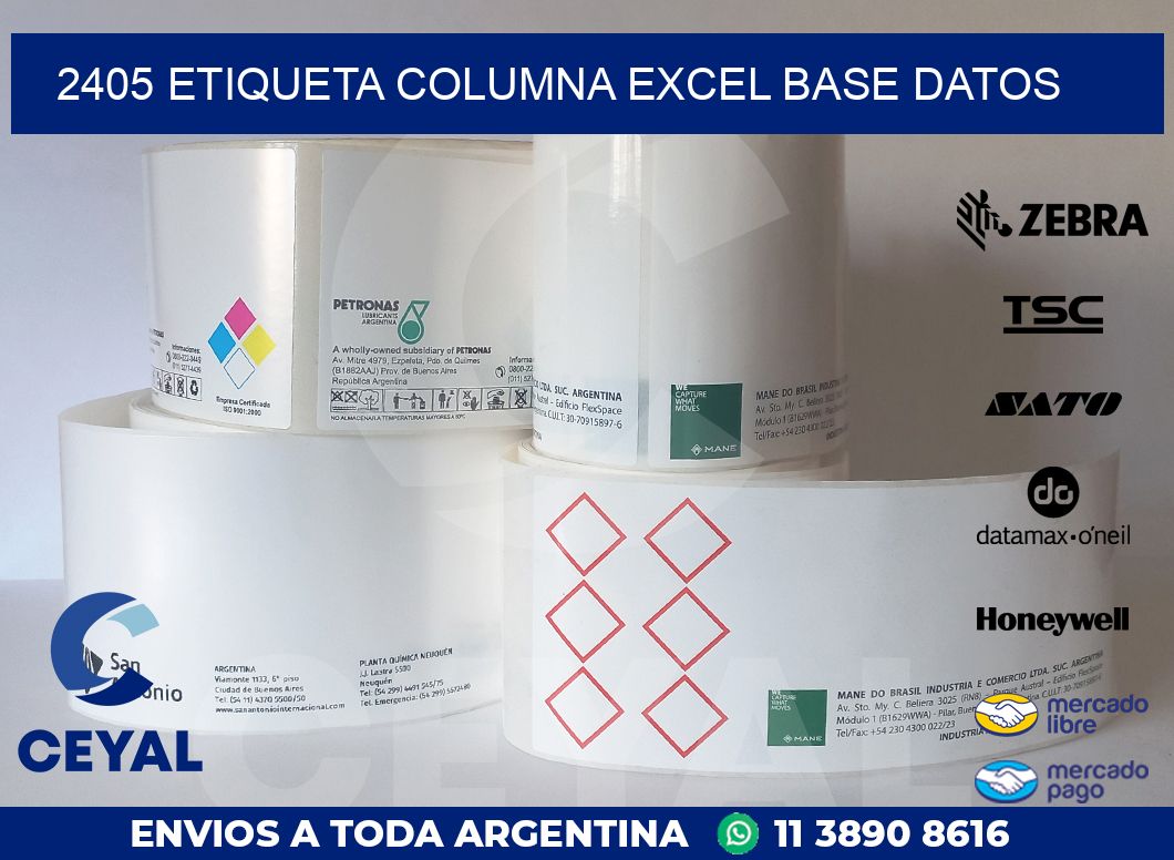 2405 etiqueta columna excel base datos