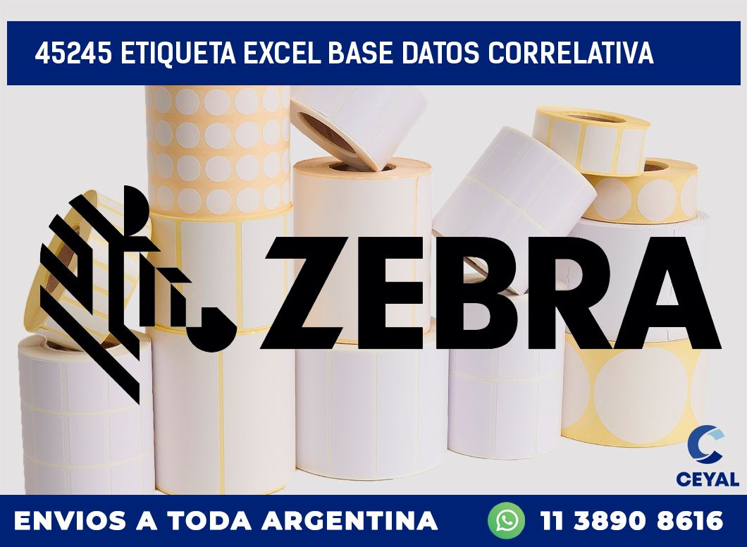 45245 etiqueta excel base datos correlativa