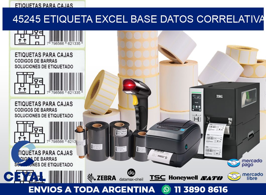 45245 etiqueta excel base datos correlativa