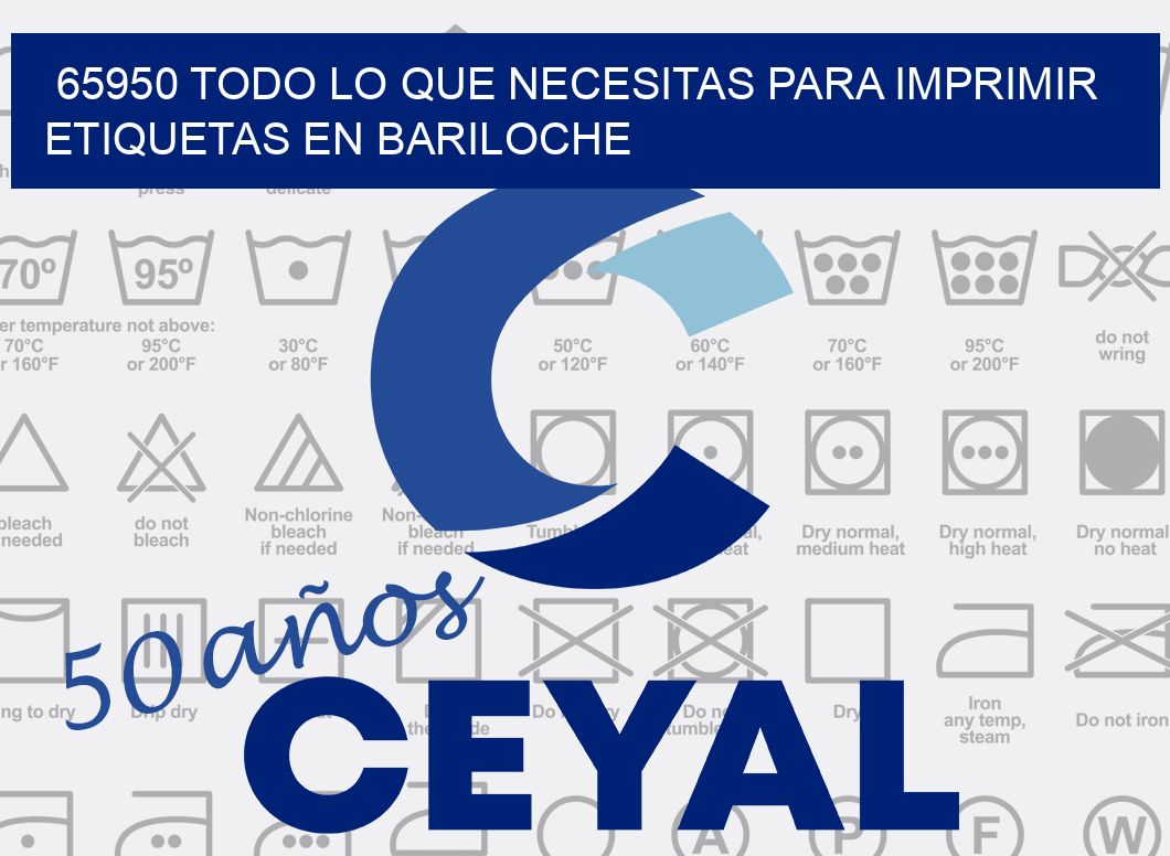 65950 TODO LO QUE NECESITAS PARA IMPRIMIR ETIQUETAS EN BARILOCHE