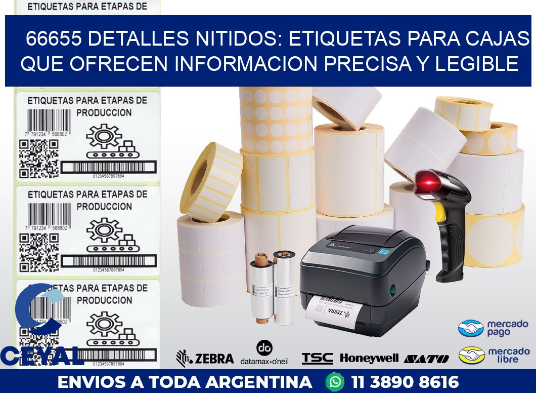66655 DETALLES NITIDOS: ETIQUETAS PARA CAJAS QUE OFRECEN INFORMACION PRECISA Y LEGIBLE