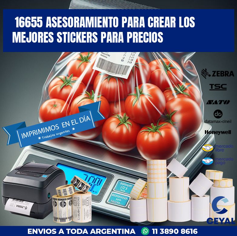 16655 ASESORAMIENTO PARA CREAR LOS MEJORES STICKERS PARA PRECIOS