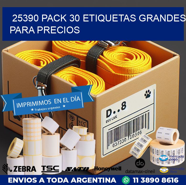 25390 PACK 30 ETIQUETAS GRANDES PARA PRECIOS