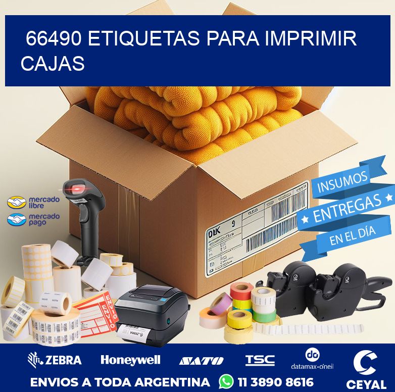 66490 ETIQUETAS PARA IMPRIMIR CAJAS