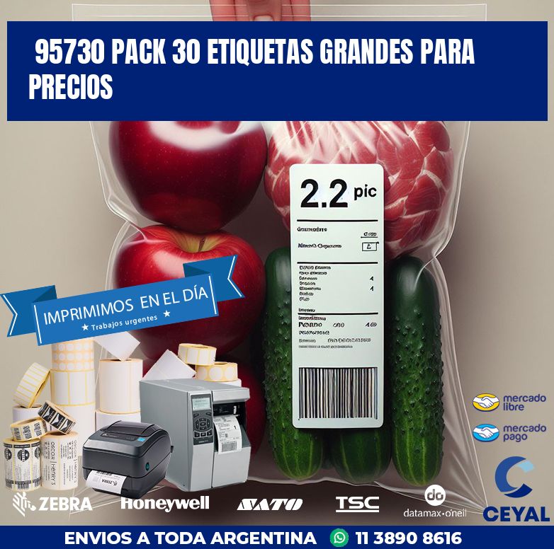 95730 PACK 30 ETIQUETAS GRANDES PARA PRECIOS