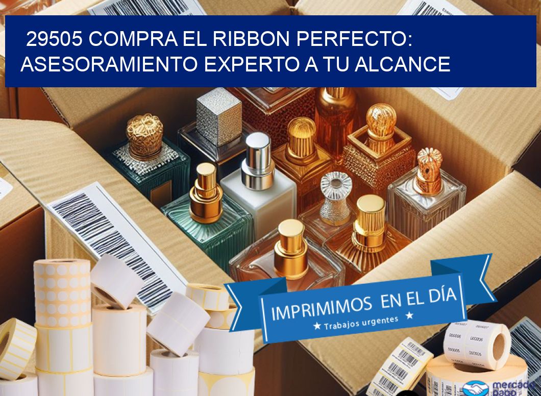 29505 COMPRA EL RIBBON PERFECTO: ASESORAMIENTO EXPERTO A TU ALCANCE