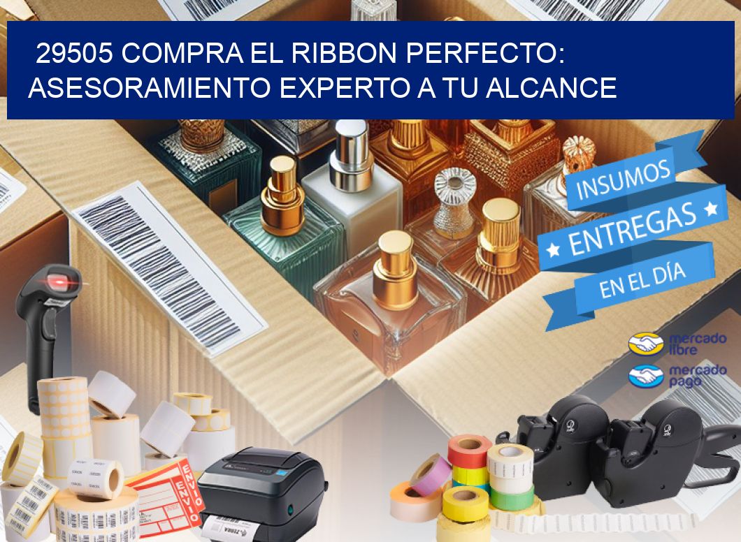 29505 COMPRA EL RIBBON PERFECTO: ASESORAMIENTO EXPERTO A TU ALCANCE