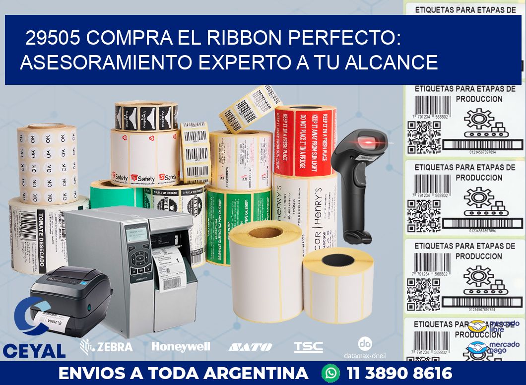 29505 COMPRA EL RIBBON PERFECTO: ASESORAMIENTO EXPERTO A TU ALCANCE
