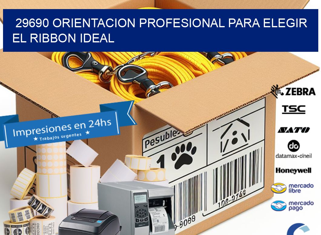 29690 ORIENTACION PROFESIONAL PARA ELEGIR EL RIBBON IDEAL
