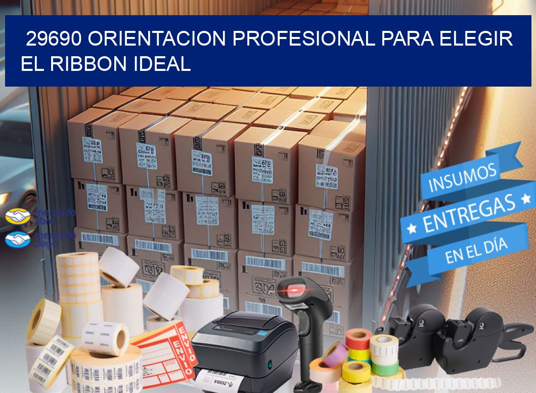 29690 ORIENTACION PROFESIONAL PARA ELEGIR EL RIBBON IDEAL