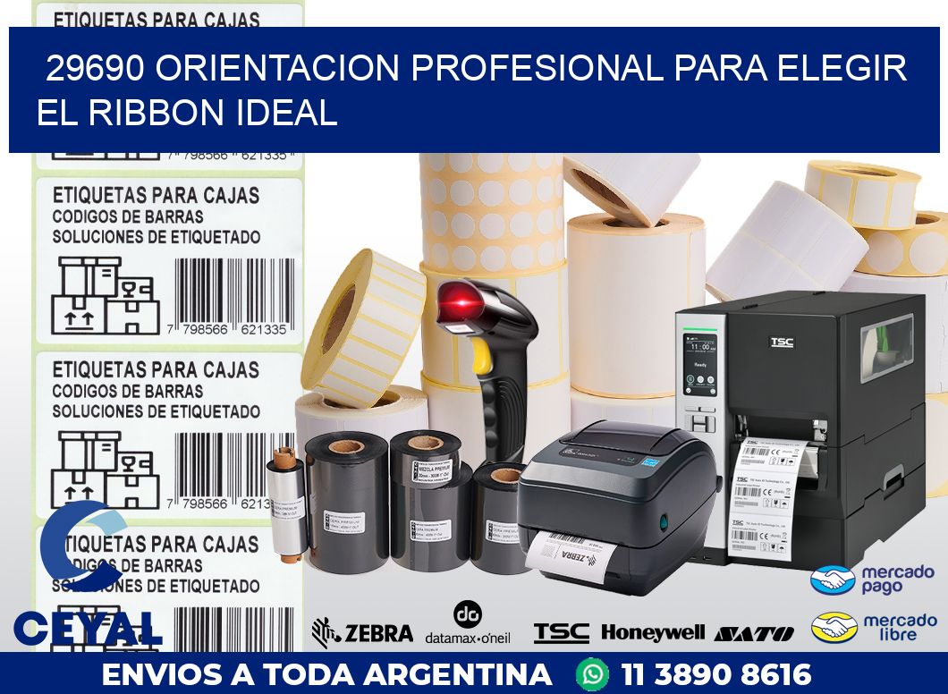 29690 ORIENTACION PROFESIONAL PARA ELEGIR EL RIBBON IDEAL