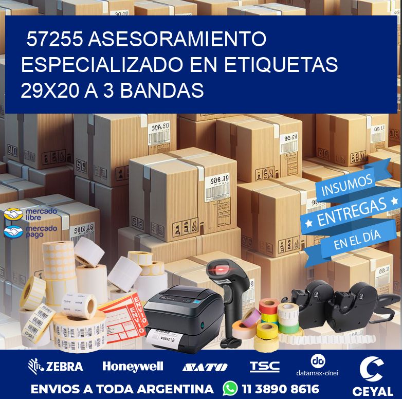 57255 ASESORAMIENTO ESPECIALIZADO EN ETIQUETAS 29X20 A 3 BANDAS