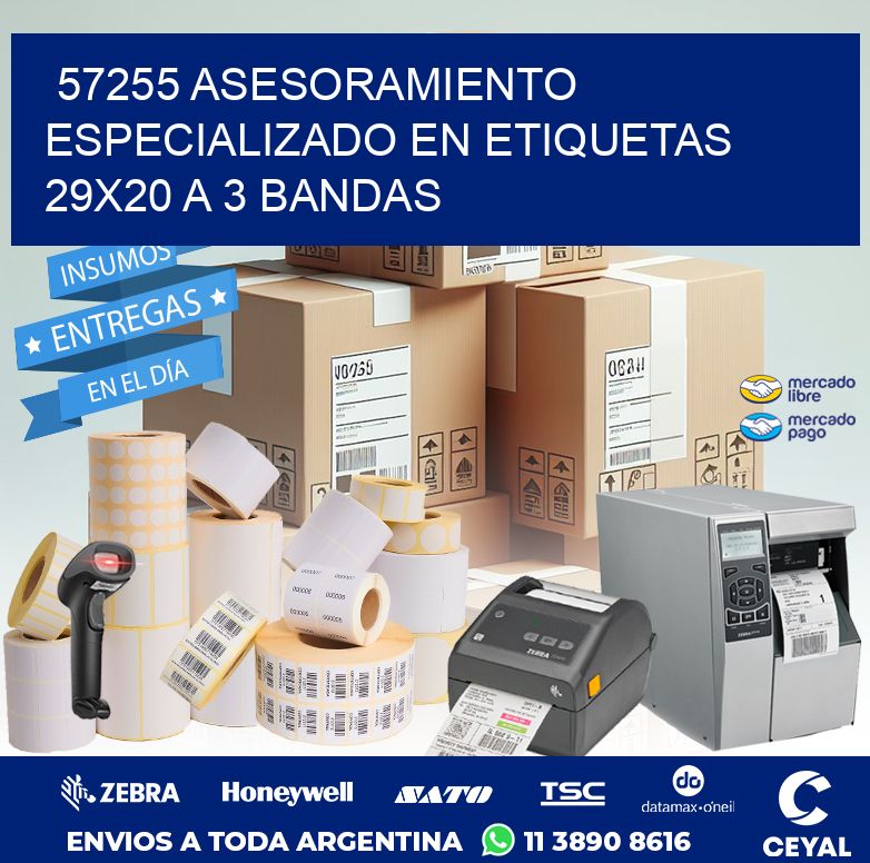 57255 ASESORAMIENTO ESPECIALIZADO EN ETIQUETAS 29X20 A 3 BANDAS