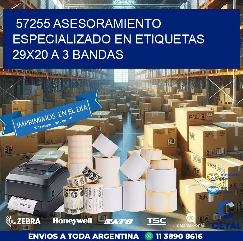 57255 ASESORAMIENTO ESPECIALIZADO EN ETIQUETAS 29X20 A 3 BANDAS
