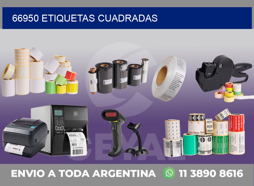 66950 Etiquetas cuadradas