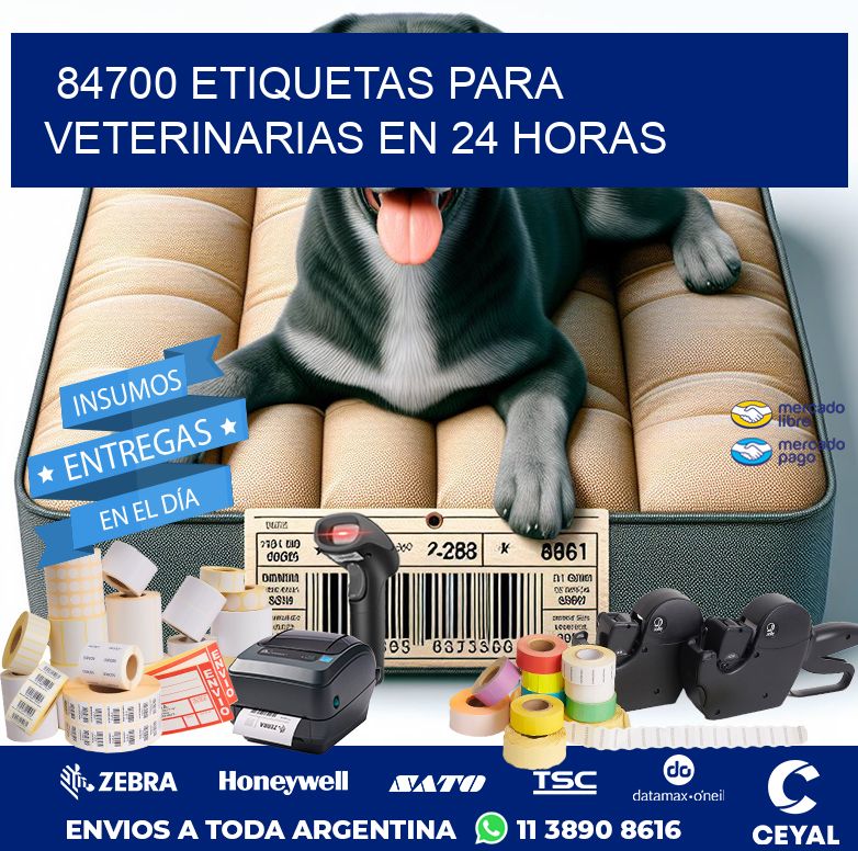 84700 ETIQUETAS PARA VETERINARIAS EN 24 HORAS