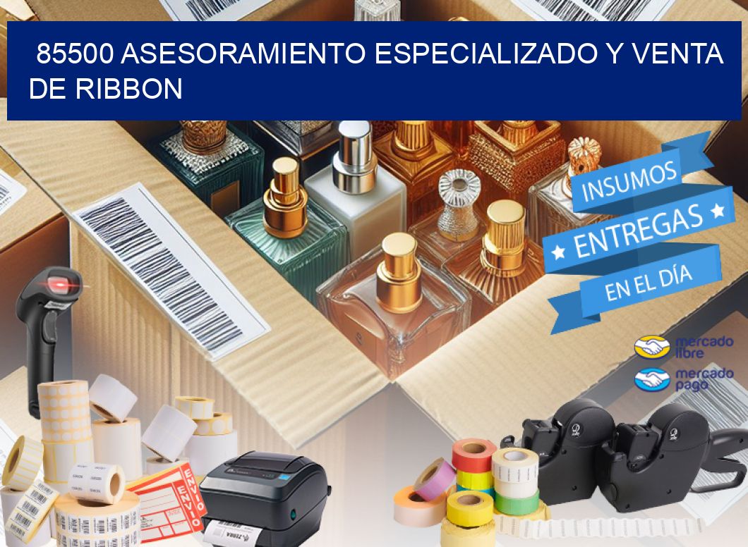 85500 ASESORAMIENTO ESPECIALIZADO Y VENTA DE RIBBON