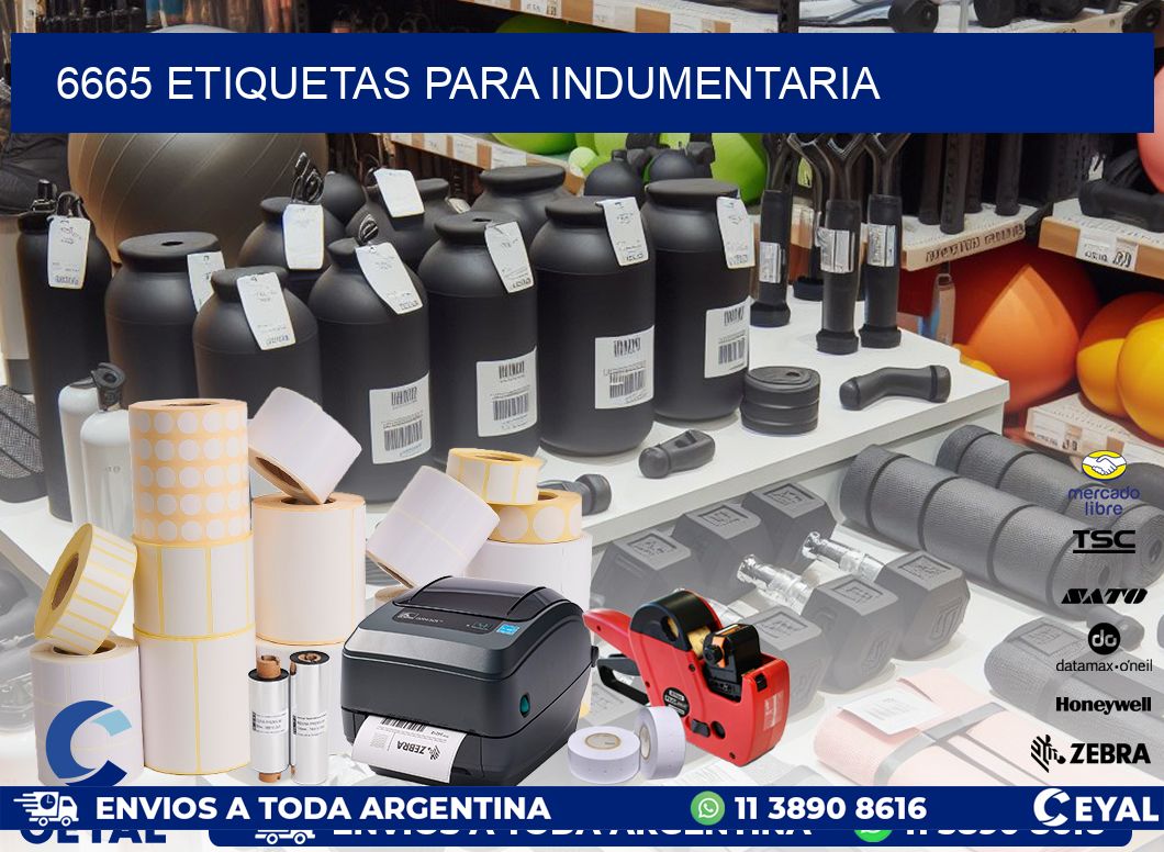 6665 ETIQUETAS PARA INDUMENTARIA