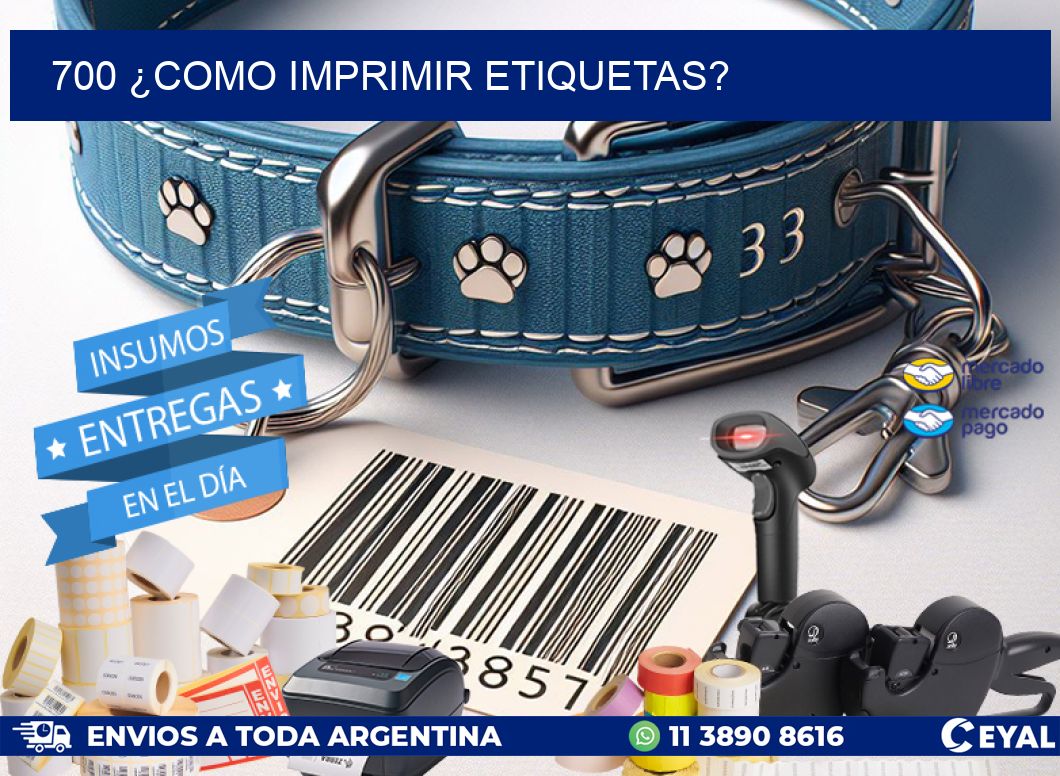 700 ¿COMO IMPRIMIR ETIQUETAS?