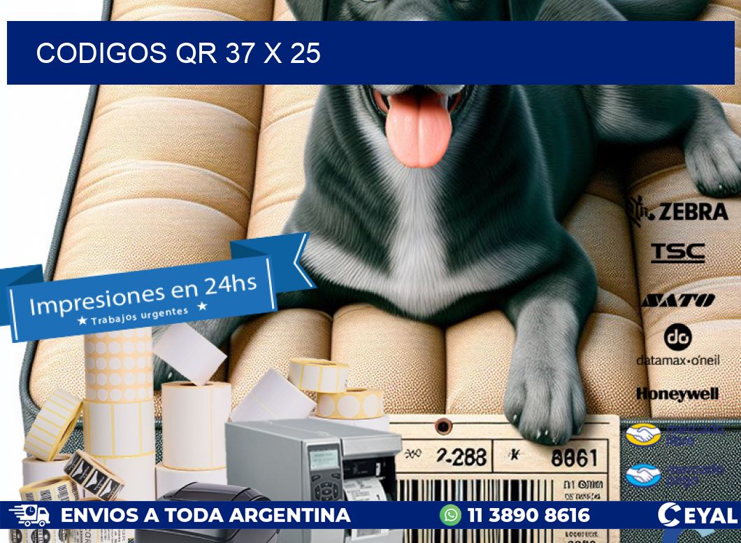 CODIGOS QR 37 x 25