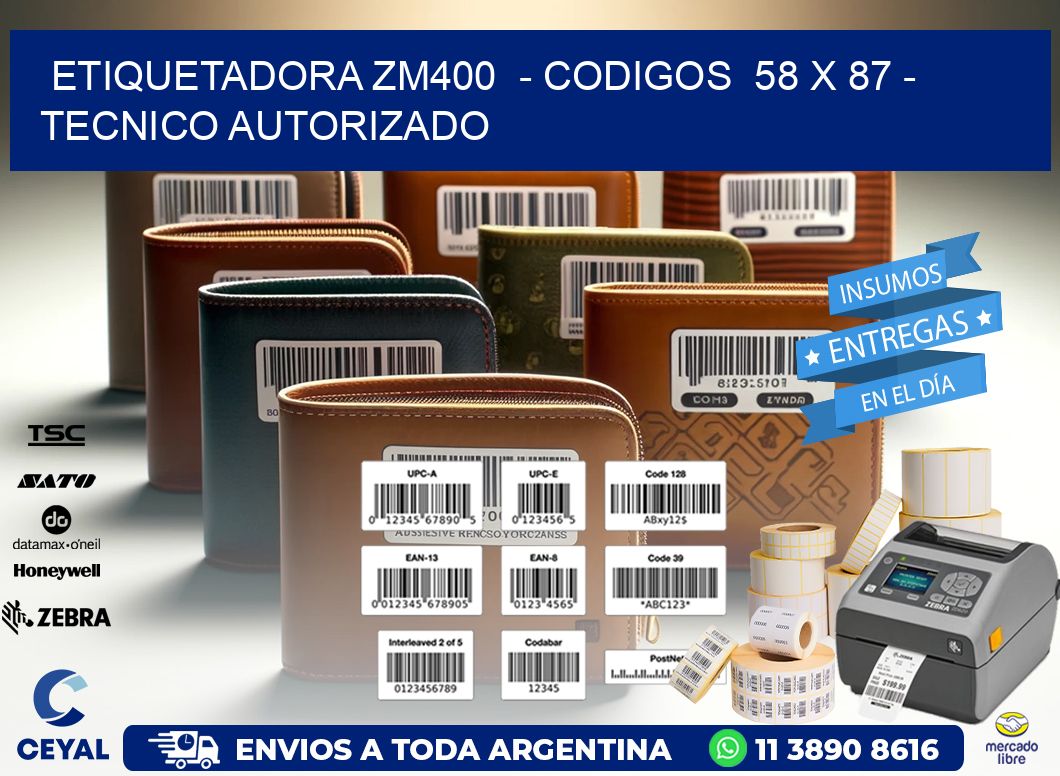 ETIQUETADORA ZM400 - CODIGOS 58 x 87 - TECNICO AUTORIZADO
