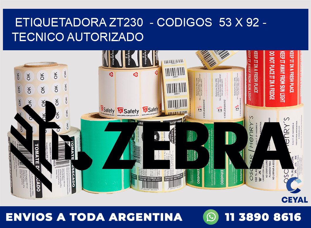ETIQUETADORA ZT230  - CODIGOS  53 x 92 - TECNICO AUTORIZADO
